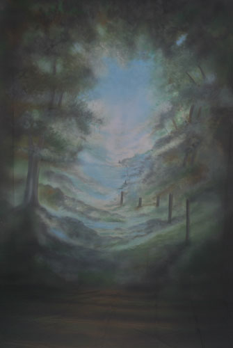 Forest Scenic Painted Backdrop 924