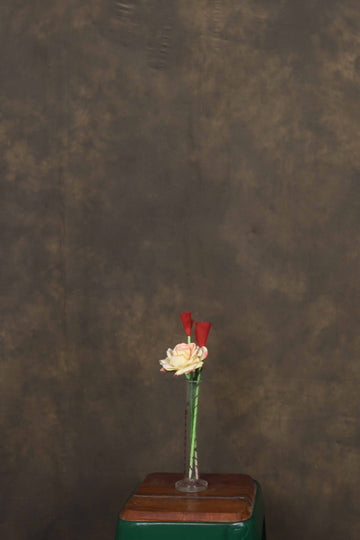 Light Brown Green Hand Painted Mottled Muslin Backdrop - Azuri Backdrops